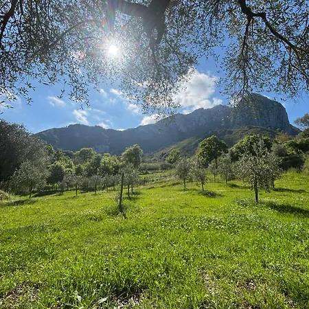 Magliuolo 3* San Giovanni a Piro